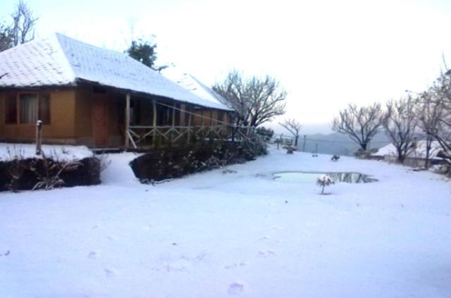 Oyo 43476 Vatika Resort Šimla Exteriér fotografie